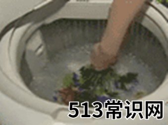巧洗绢花