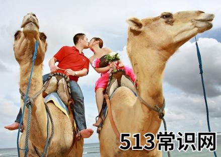 旅行结婚的具体流程及注意事项