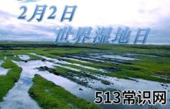 2月2日是什么节日？世界湿地日是几月几日