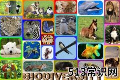 5月22日是什么日子？国际生物多样性日的由来