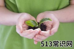 4月10日是什么节日？非洲环境保护日是几月几日