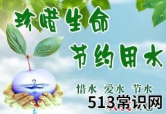 世界水日是几月几日？世界水日是哪一天