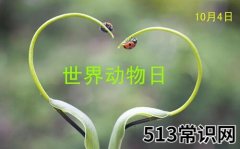 世界动物日是几月几日？公历10月4日是什么节日