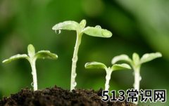9月10日是什么节日？世界预防自杀日是几月几日