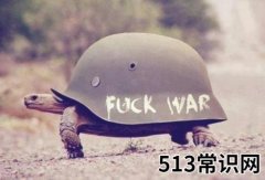 世界停火日是几月几日？世界停火日的发起人是谁
