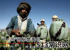 6月26日是什么节日？国际禁毒日是几月几日