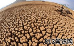 6月17日是什么节日？世界防治荒漠化和干旱日