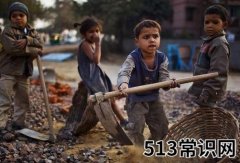 6月12日是什么节日？世界无童工日的来历和主题