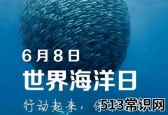 6月8日是什么节日？世界海洋日是几月几日