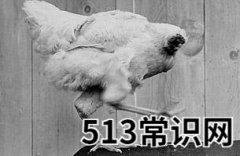 <b>世界10大怪异节日：日本裸体节美国无头鸡节等</b>