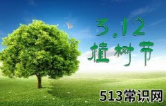 植树节是几月几日？关于植树节的由来和意义