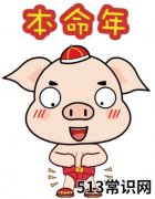 本命年注意事项 2019年猪年犯太岁化解全解密
