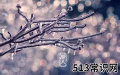 年关的信号——腊八节