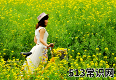 踏青的风俗-踏青的文化内涵