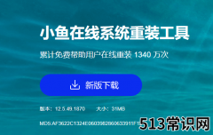 小鱼一键重装系统软件重装系统教程
