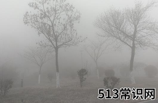 雾霾天应该怎锻炼