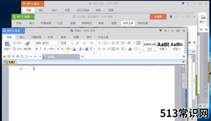 详解wps是什么意思