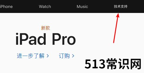官网网址苹果手机序列号查询方法