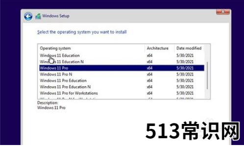 小编教你如何下载最新版win11系统