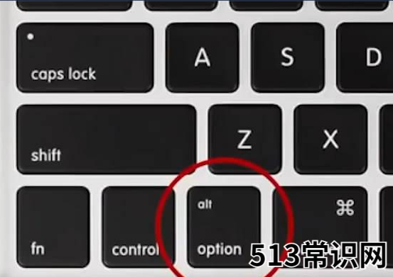 蘋果雙系統(tǒng)如何切換-小白系統(tǒng)教程