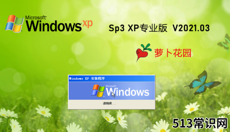 萝卜家园WindoWSxpsp3gho专业装机版下载图文