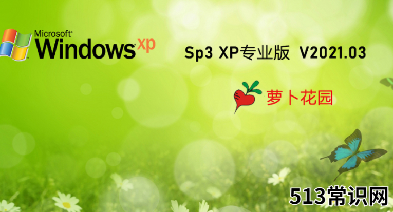 萝卜家园WindoWSxpsp3gho专业装机版下载图文