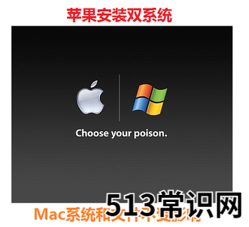 windows系统怎样切换到苹果系统