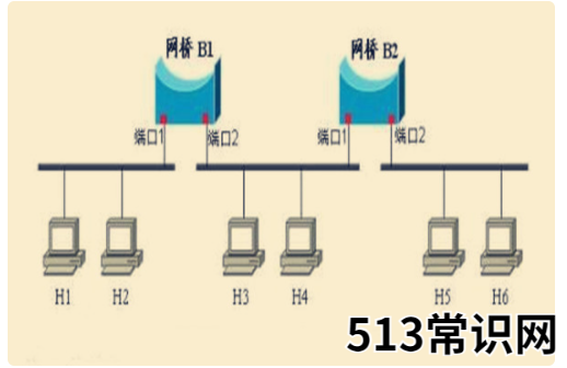 网桥是什么意思的介绍