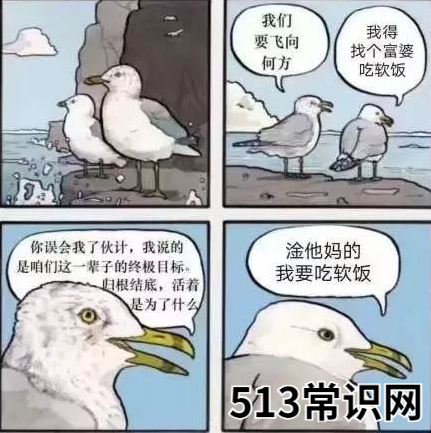 这个梗是个图片梗 去码头整点薯条是什么梗