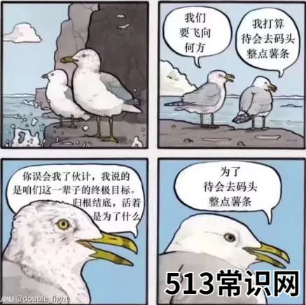 这个梗是个图片梗 去码头整点薯条是什么梗