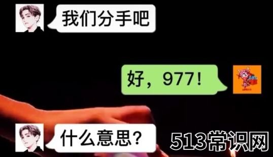 977是什么意思网络用语 抖音977是什么意思