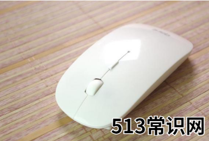 电脑鼠标动不了,小编教你电脑鼠标不能动了怎么办