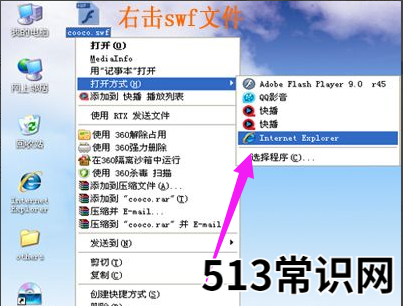 swf文件用什么打开,小编教你打开swf文件的操作