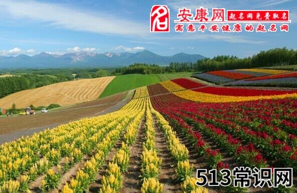 圖文 夢見和同事偷情意味什么