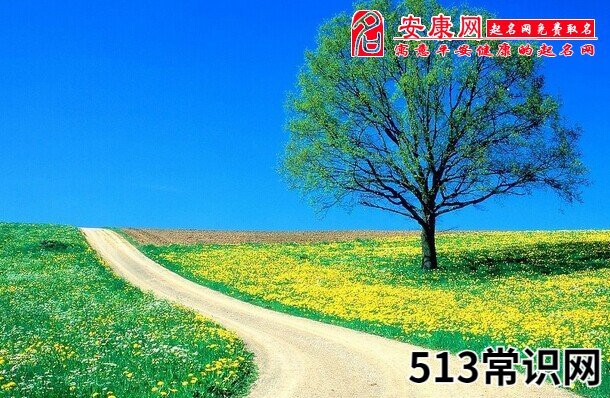 图文 梦见老婆出轨