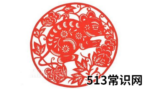 女命2008年属鼠的人2019年运程