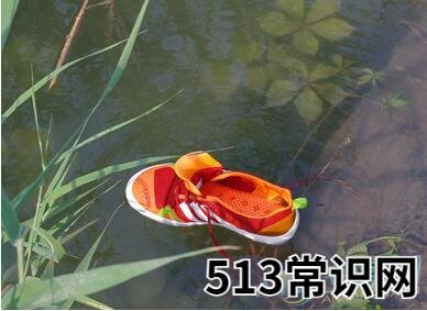 图文 梦见鞋掉水里了