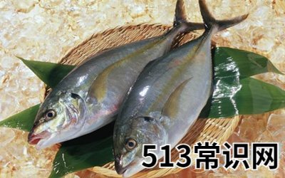 孕妇梦见买鱼