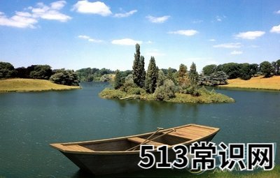 梦见地面有水