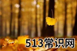 梦见落叶