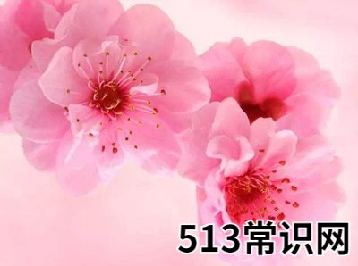 出生时辰看你命带何种桃花?