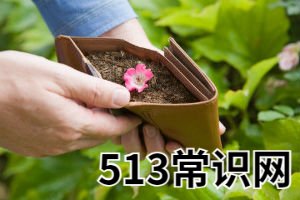 盘点那些会预示破财的梦