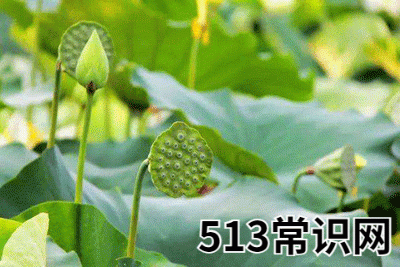 32,乙未是什么意思,乙未详解!