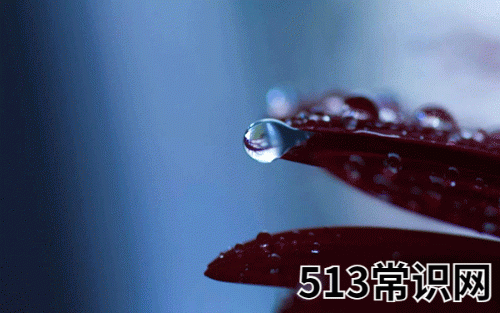 35,戊戌是什么意思,戊戌详解