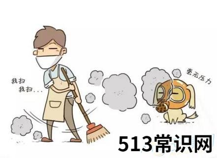 梦见打扫灰尘