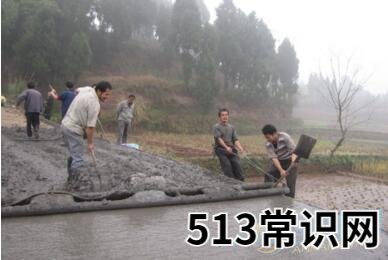 梦见铺路