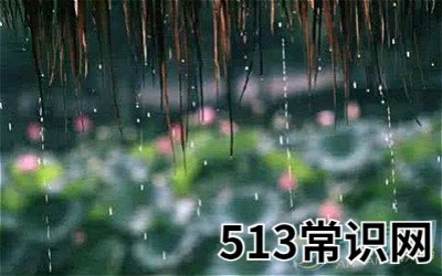 梦见梅雨