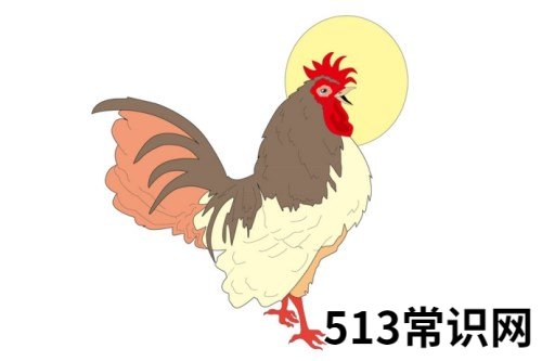 图文 2005年属鸡女性2021年运势 05年16岁属鸡人2021年每月运势