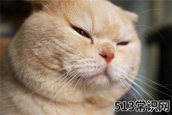 梦见轻视_做梦梦到轻视是什么意思