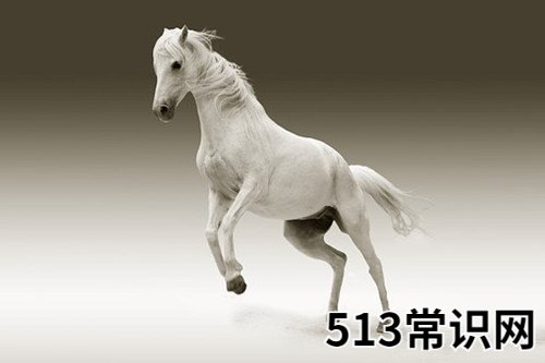 图文 属马男怕什么的女人
